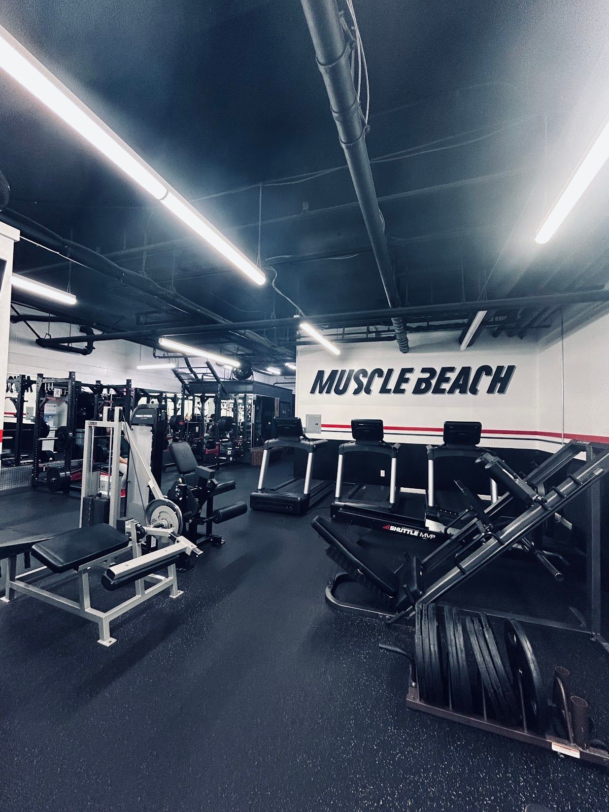 MuscleBeachSF Gym San Francisco fka FitClubSF