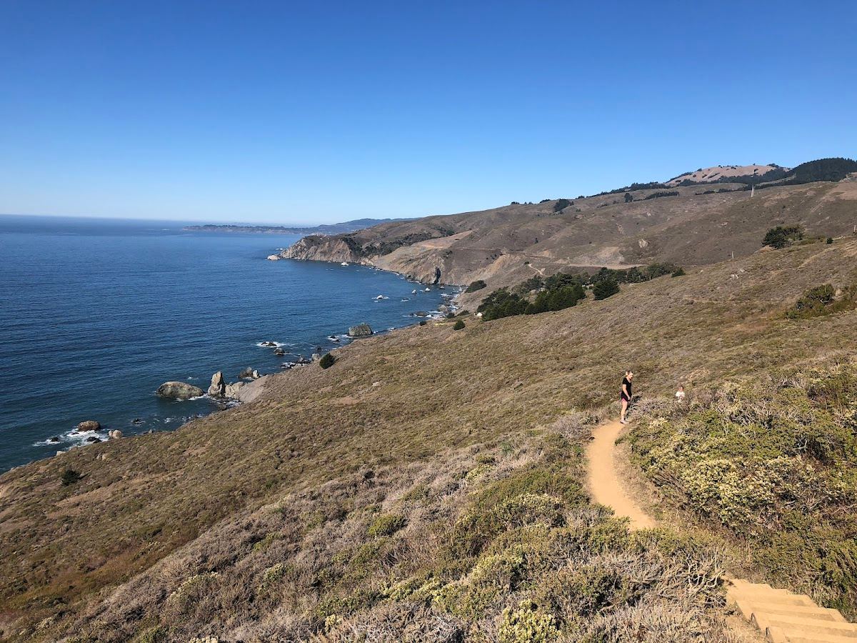 Owl Trail