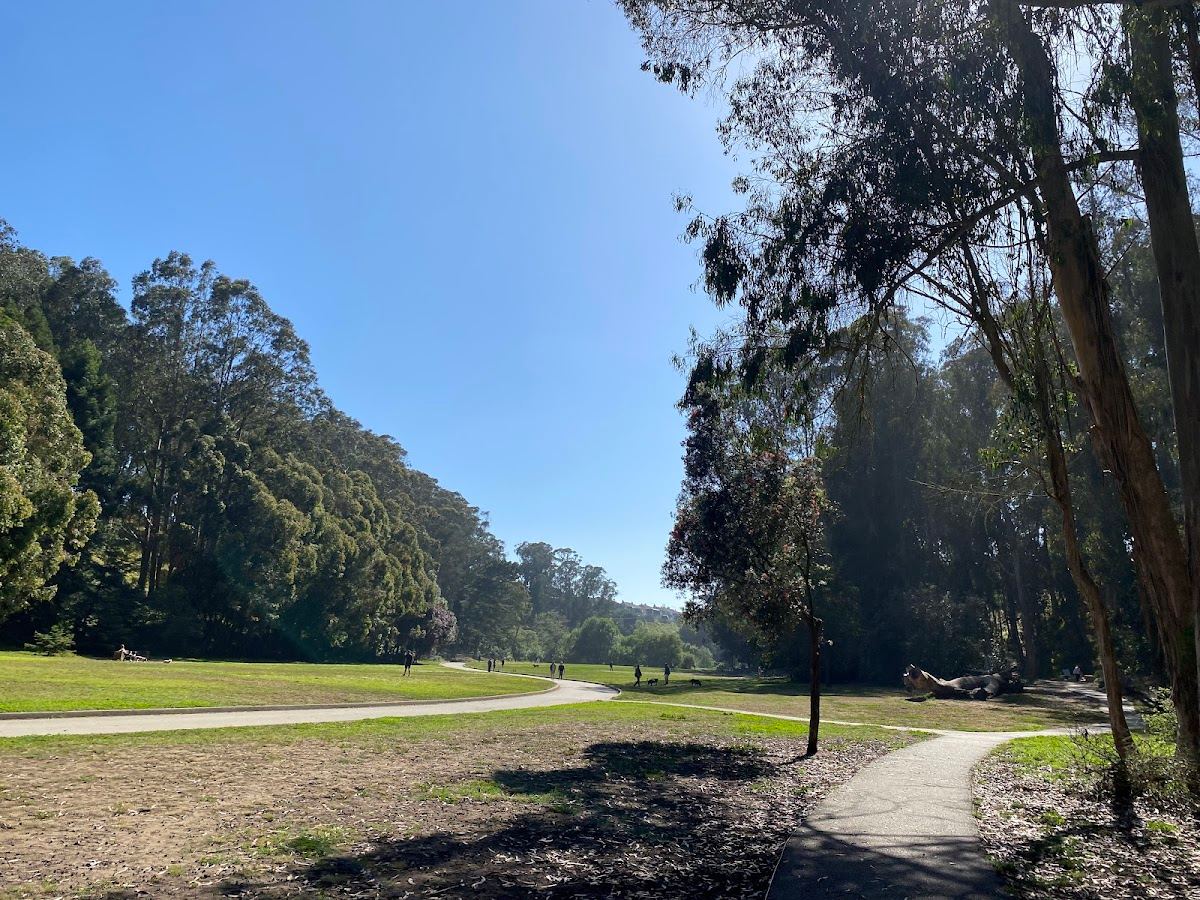 Pine Lake Park