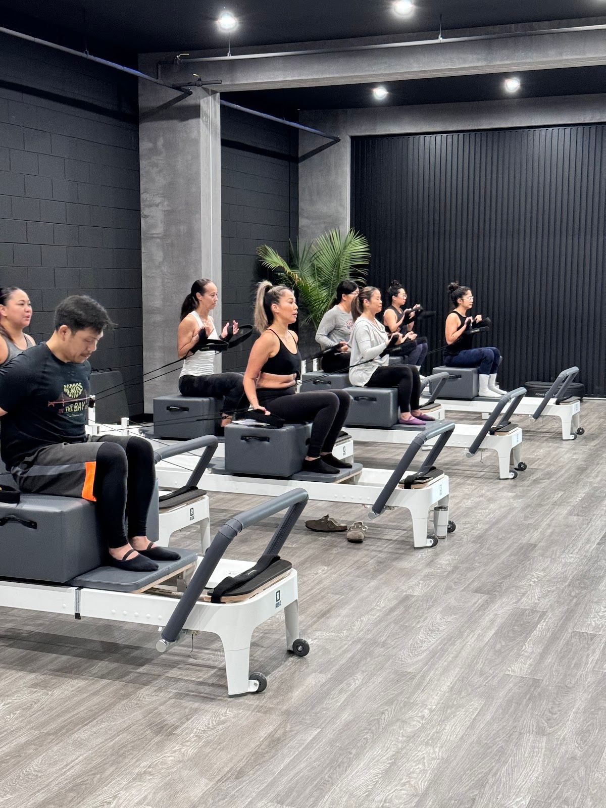 RISE Wellness Collective