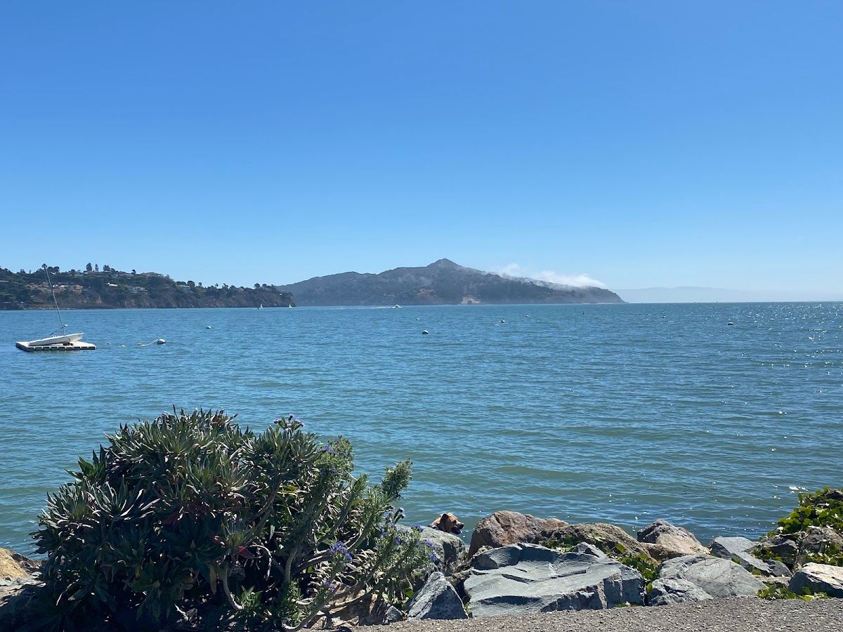 Sausalito Boardwalk