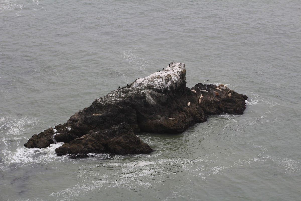 Seal Rock