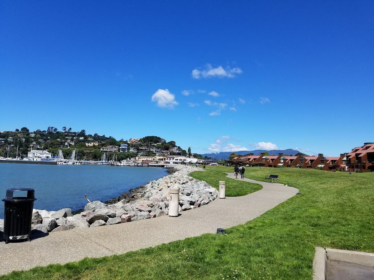 Shoreline Park