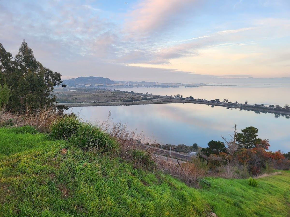 Star Hill