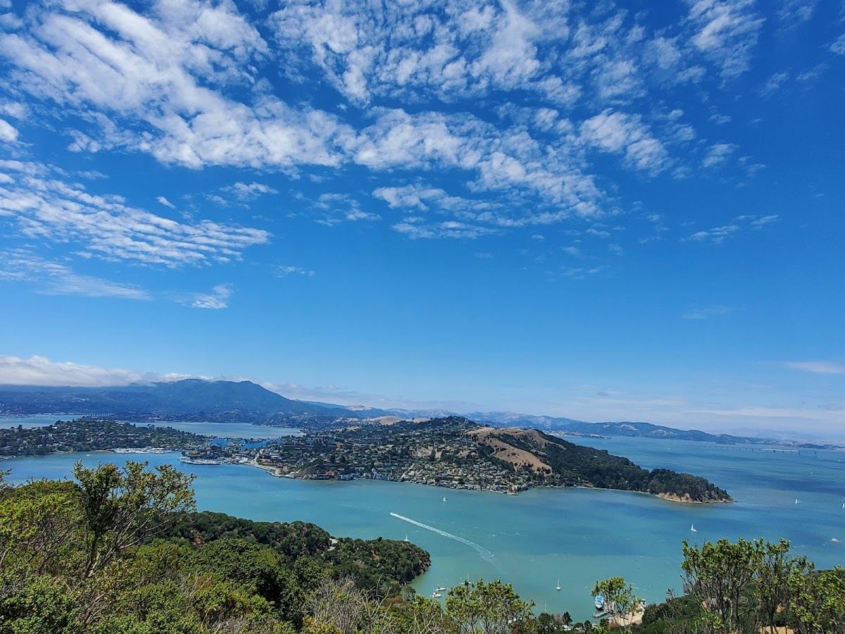 Summit of Mt. Livermore