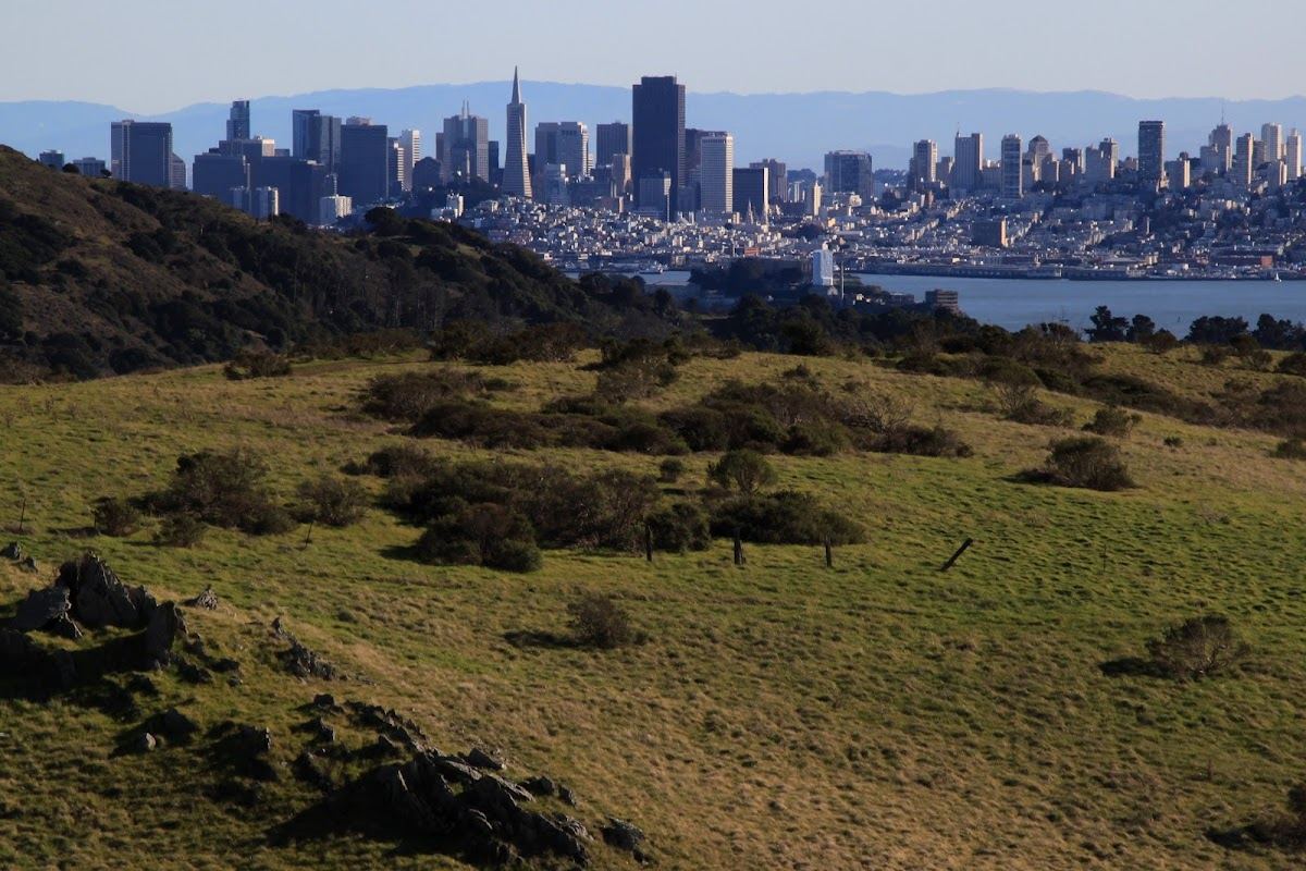 Tiburon Uplands
