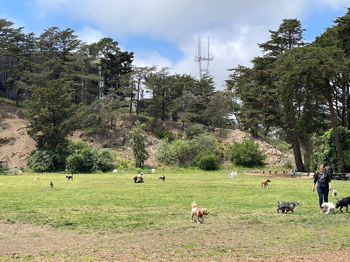 Upper Douglass Dog Play Area