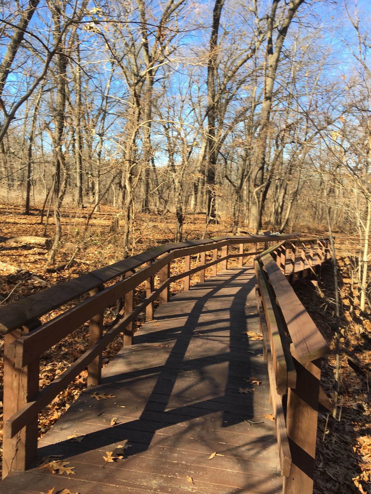 John F. Kennedy Memorial Forest
