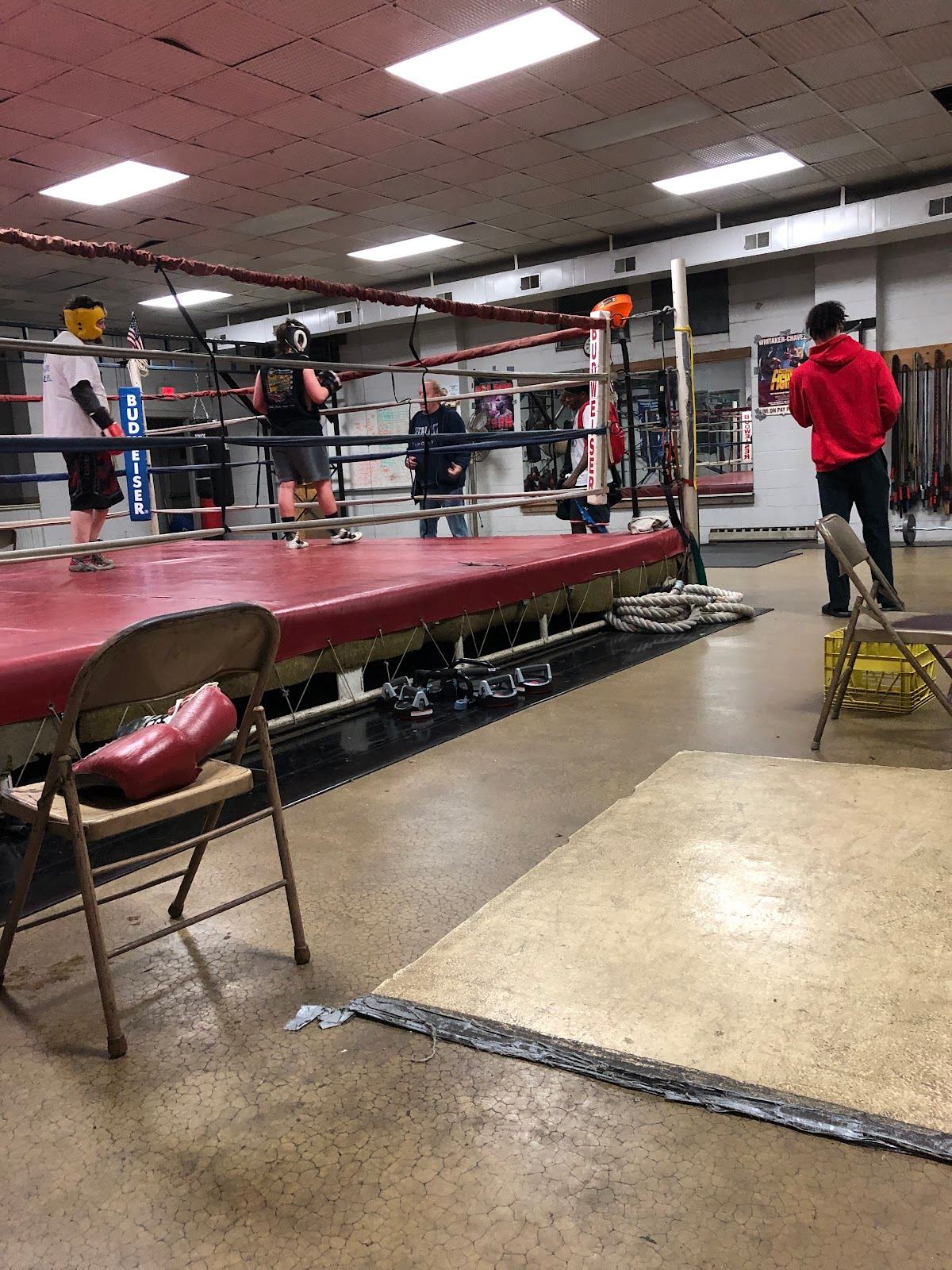 Knuckles Gym