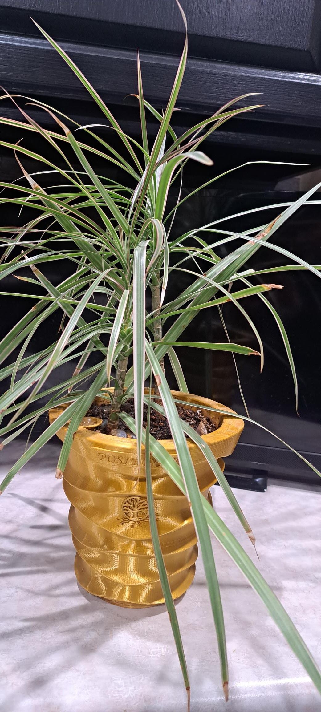 Posie Pots