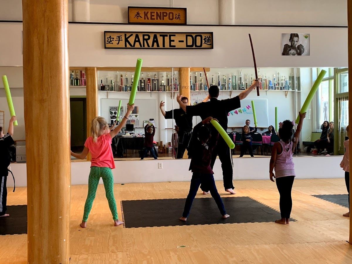Premier Martial Arts - St. Louis, MO