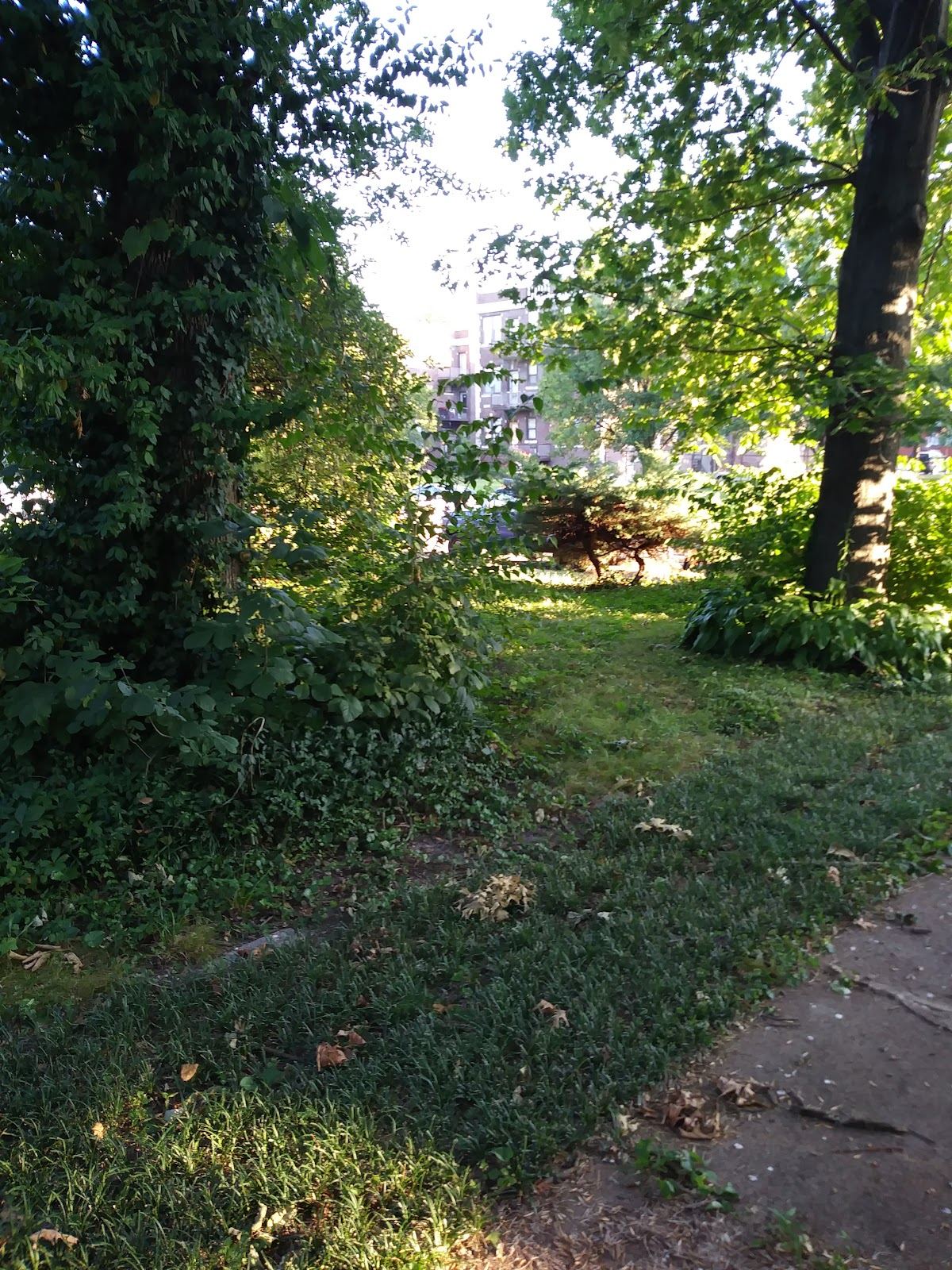 Russell Park
