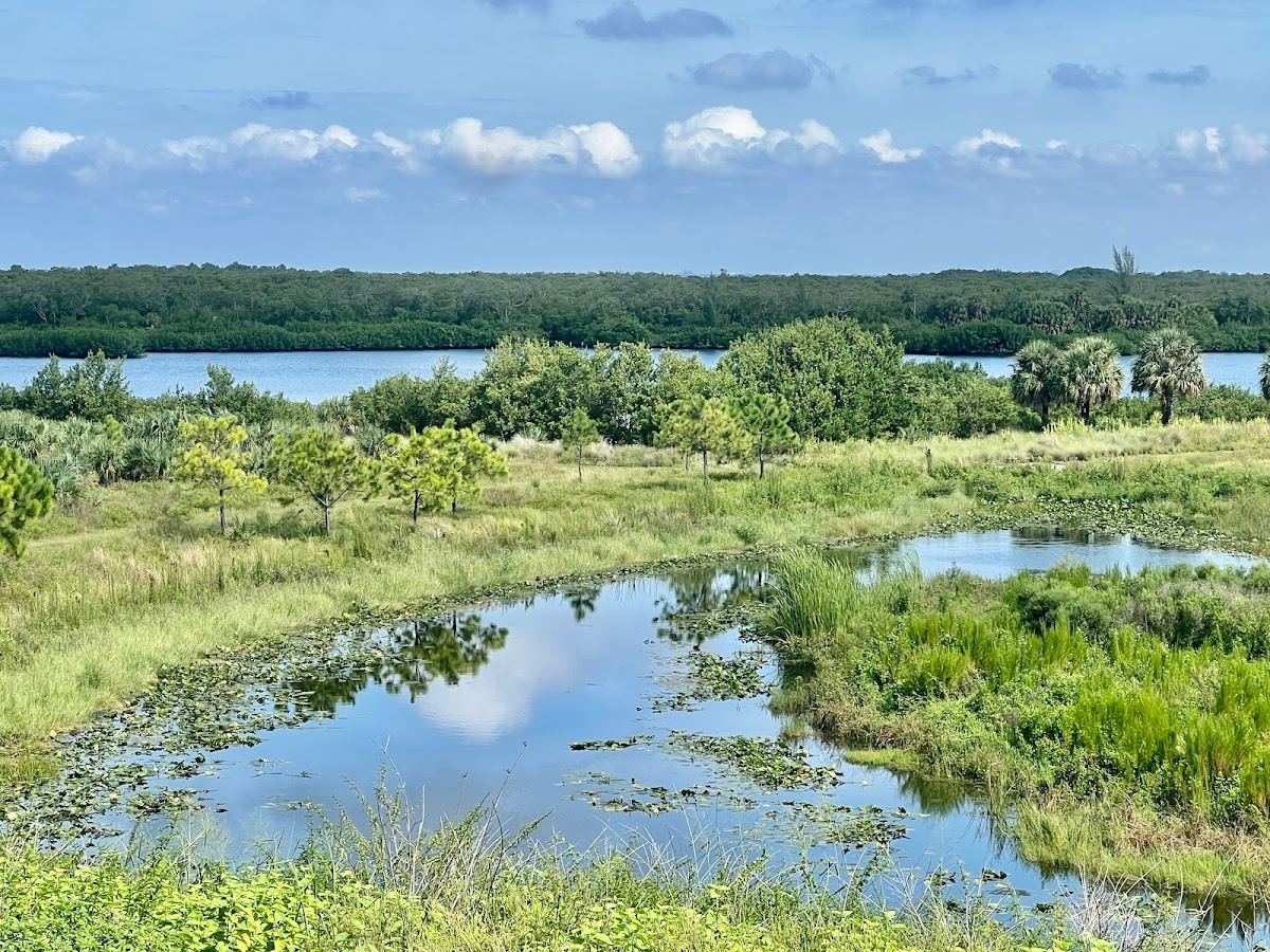 Cockroach Bay Aquatic Preserve