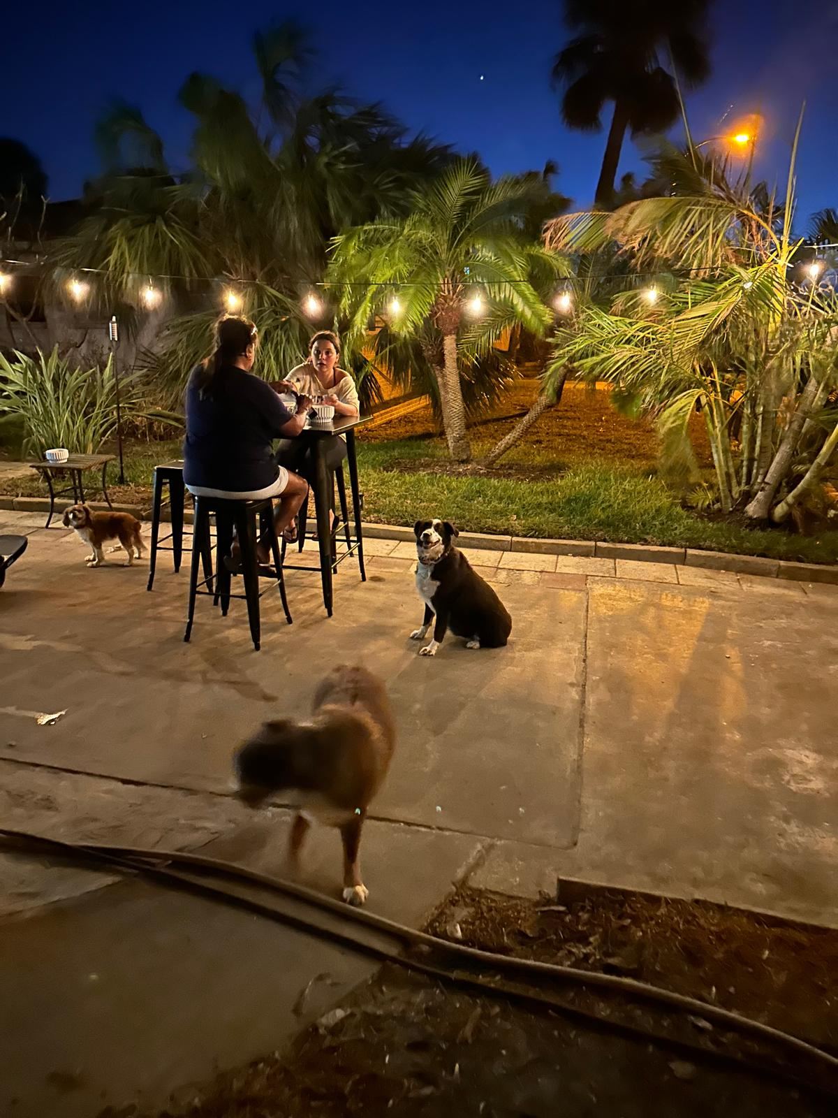 Gina's Driveway Cafe