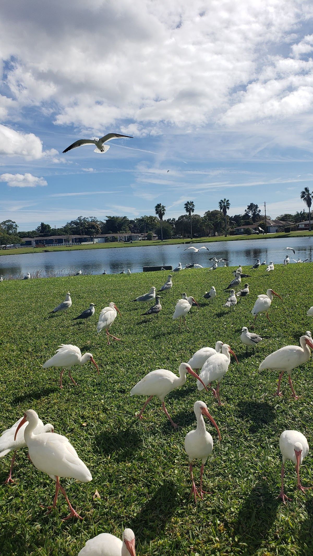 Lynch Lake Park