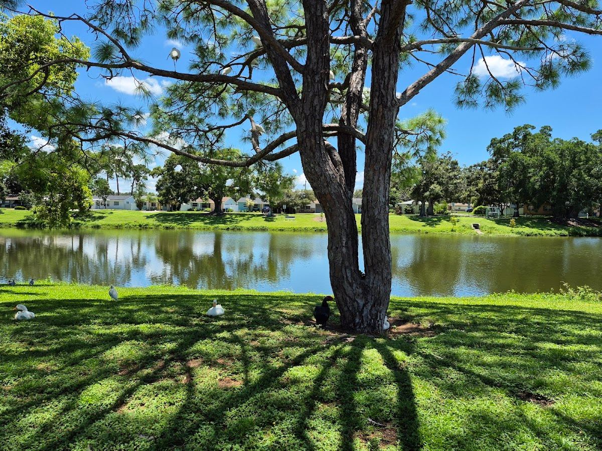 Sirmons Lake Park