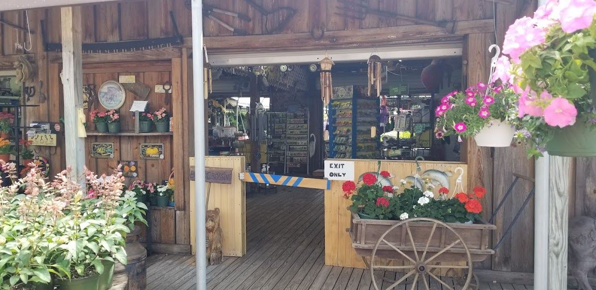 Willow Tree Nursery Inc
