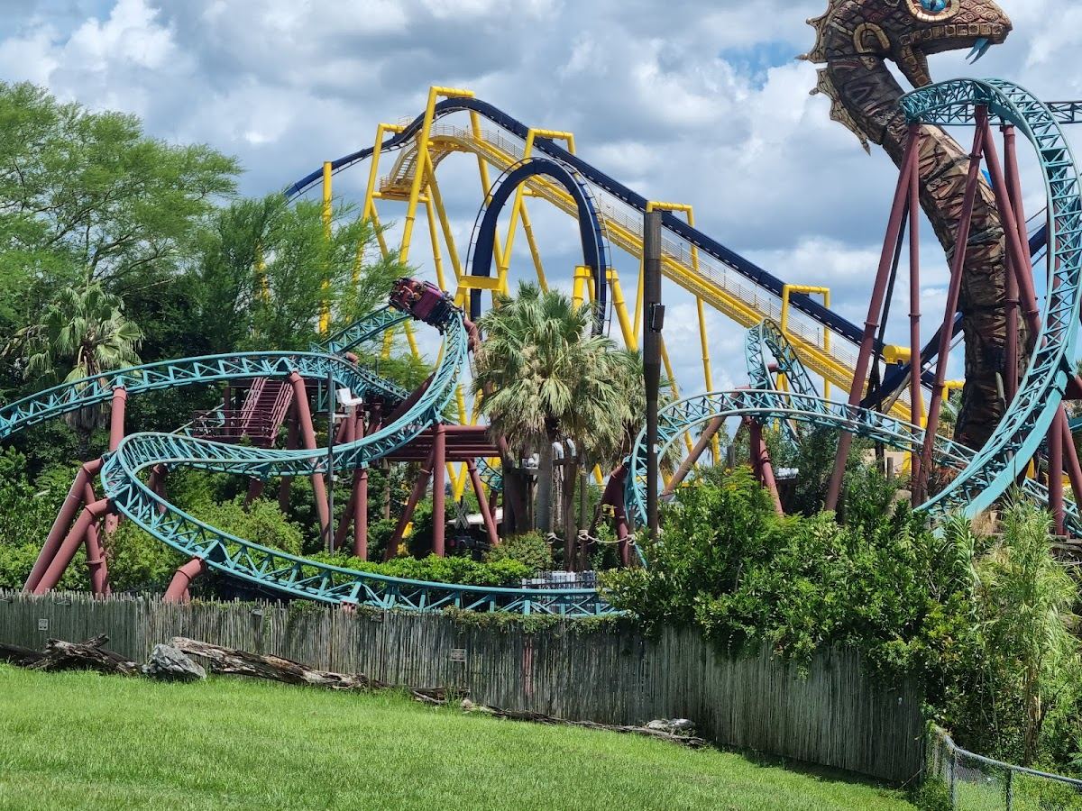 Cobra's Curse