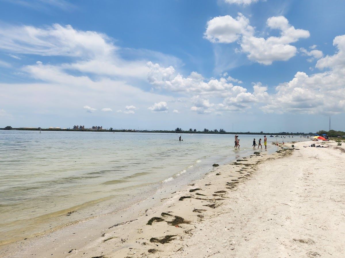 Gandy Beach Mangroves