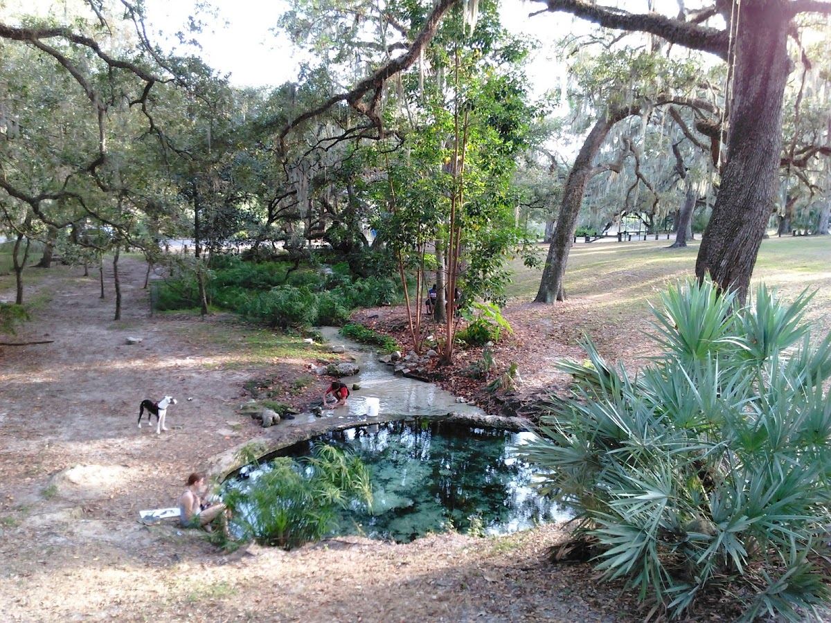 Purity Springs Park