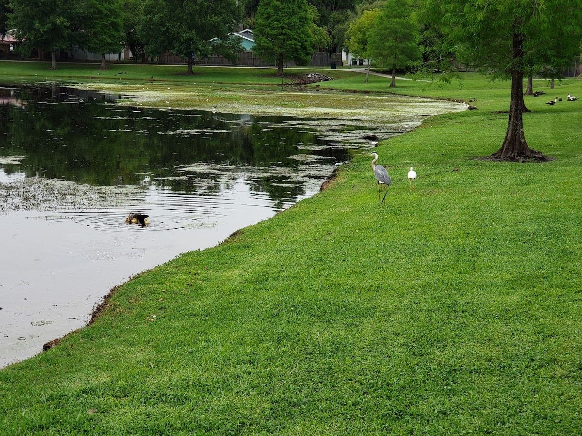 Ragan Park