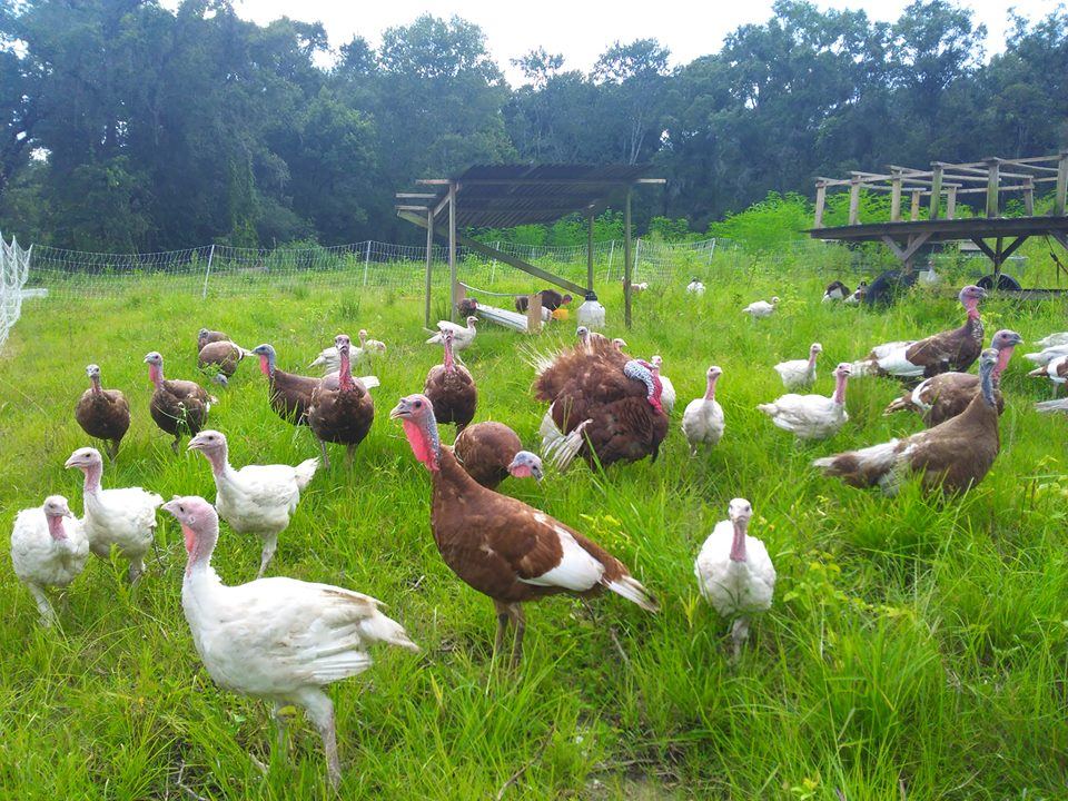 TrailBale Farm