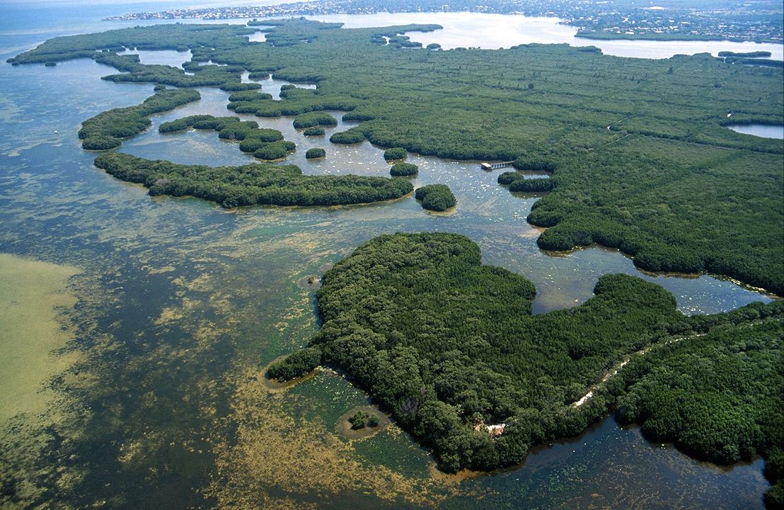 Weedon Island Preserve