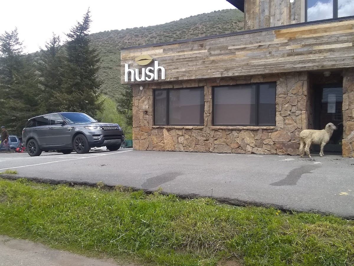 Hush Cannabis and Confections