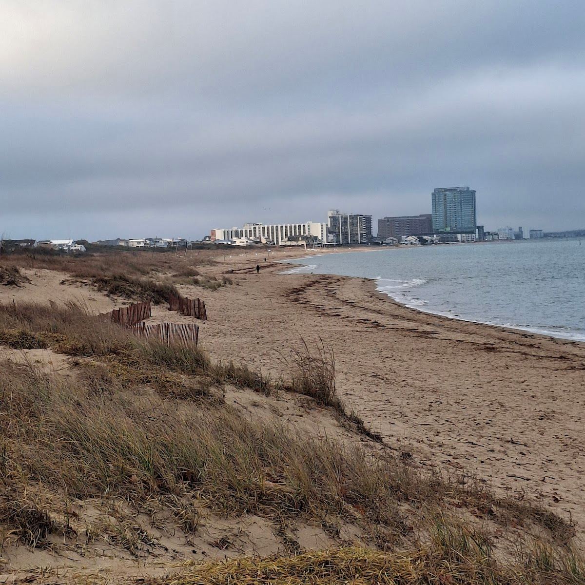 5 Minute Foundation - Beach Cleanup Station - First Landing