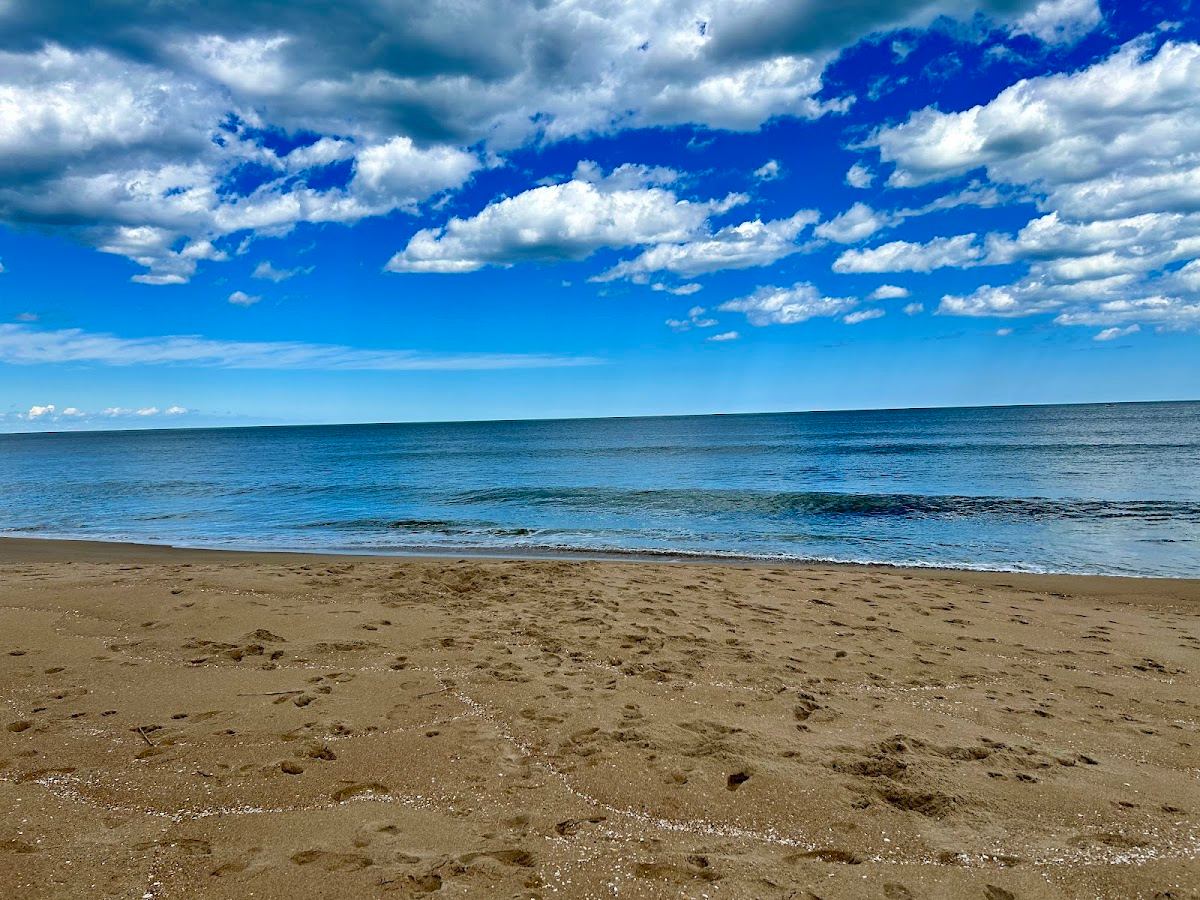 Beach Park