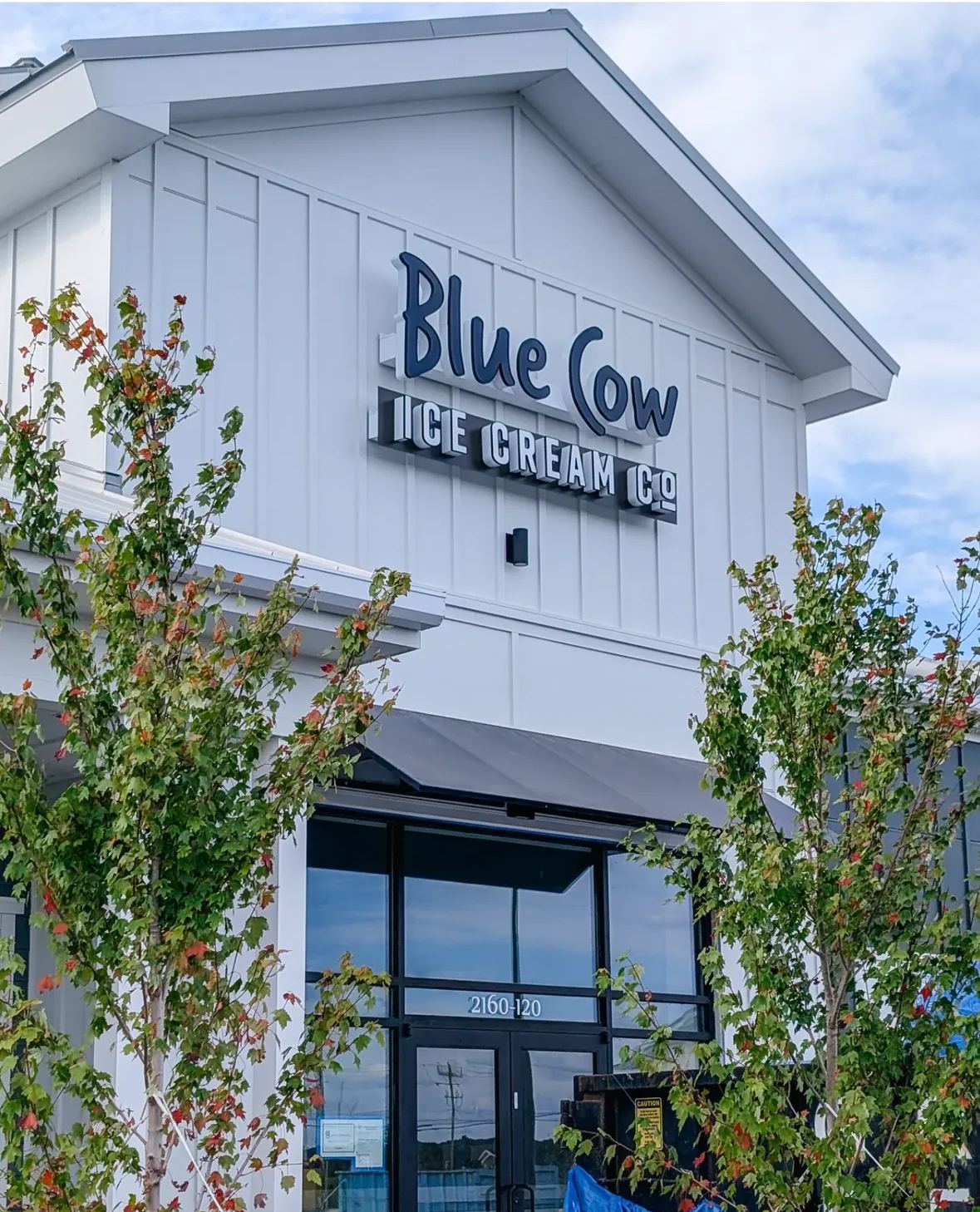 Blue Cow Ice Cream Co.