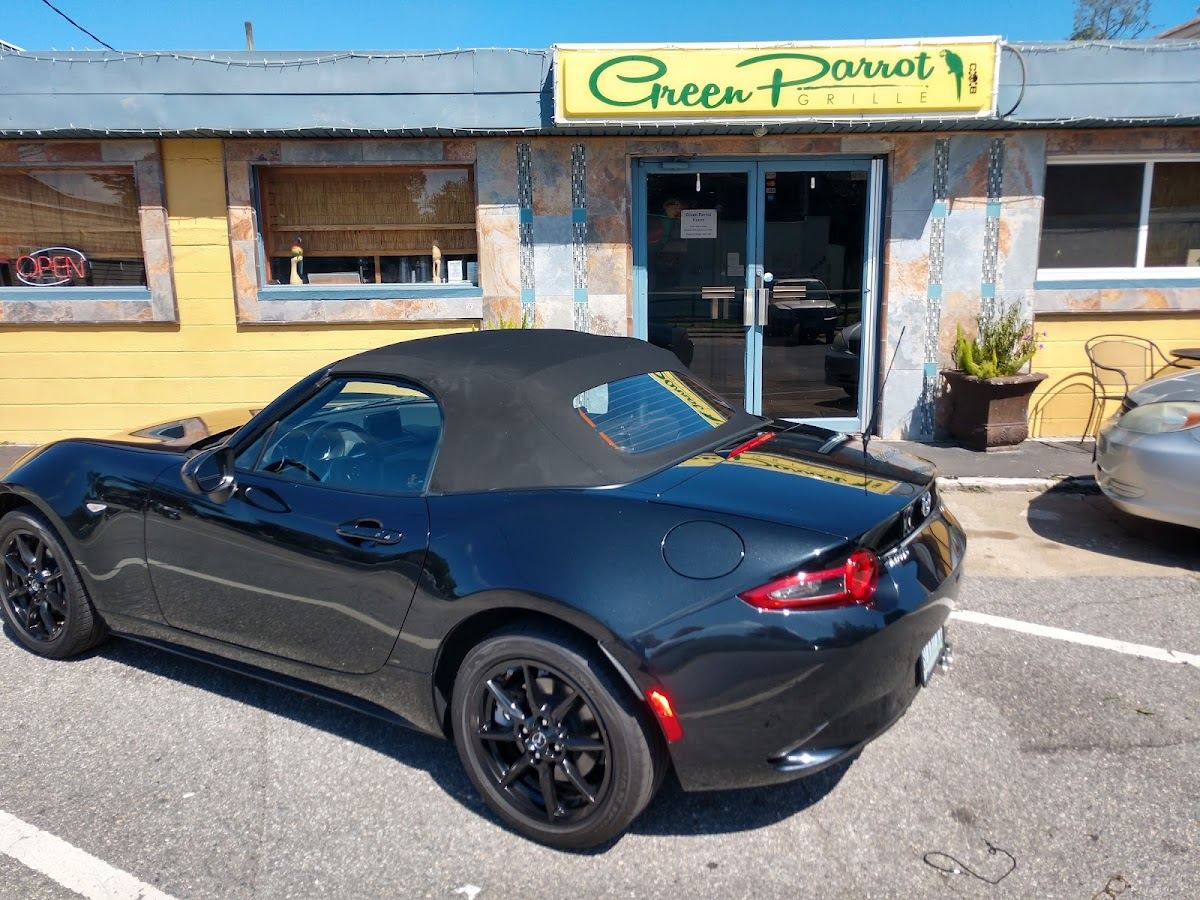 Green Parrot Grille