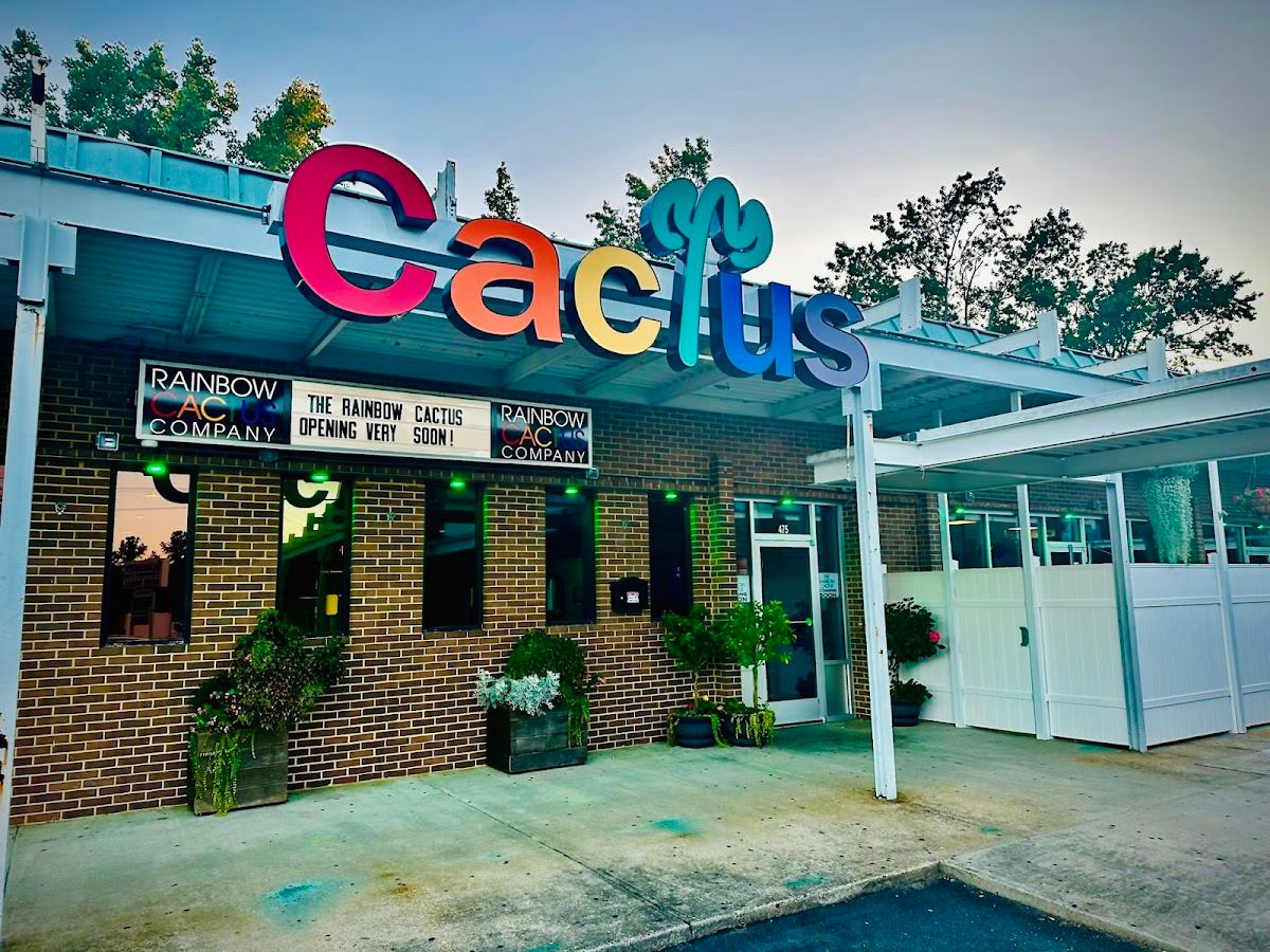 Rainbow Cactus Company