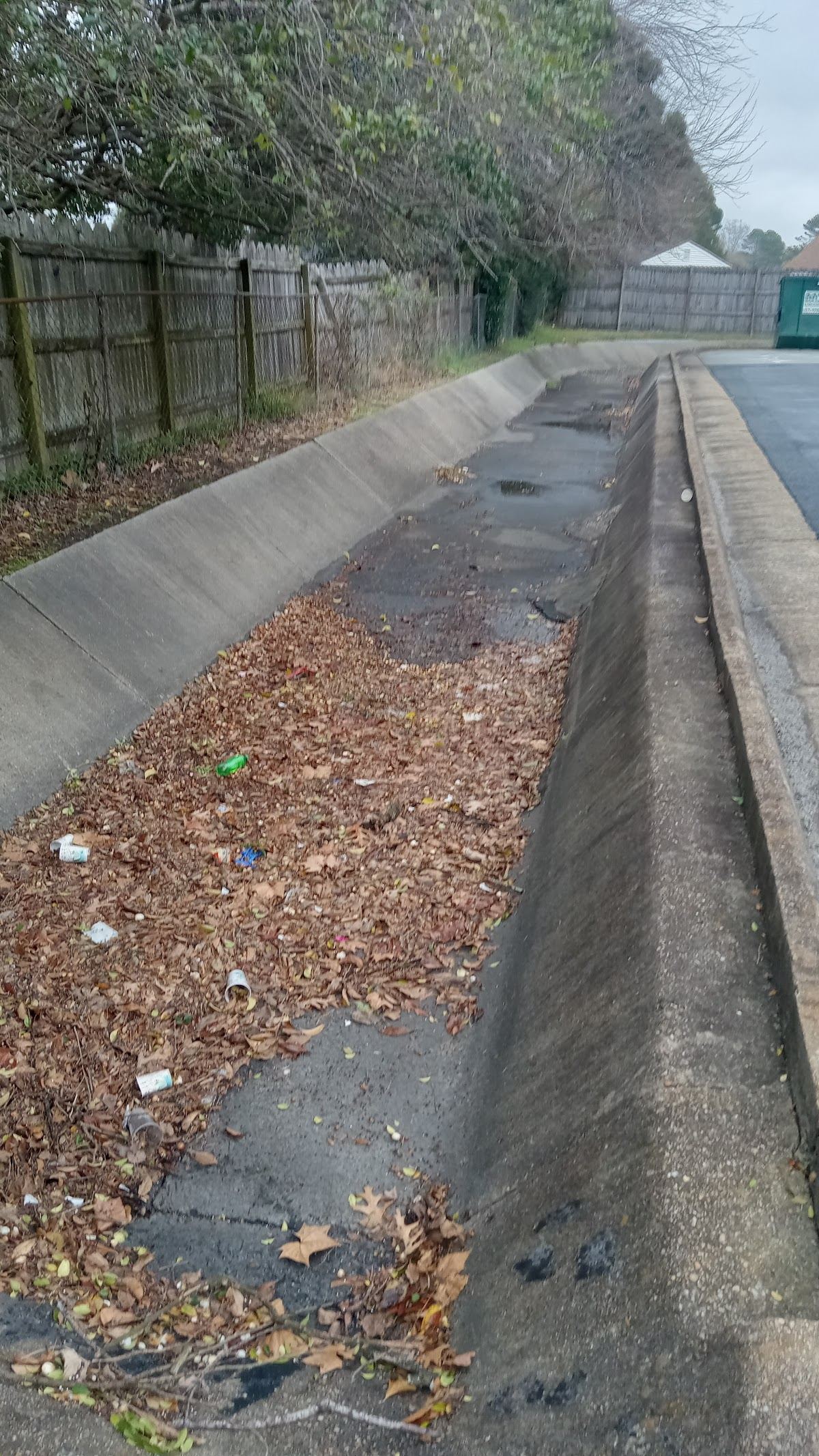 Sherwin Willians Ditch (Skate)