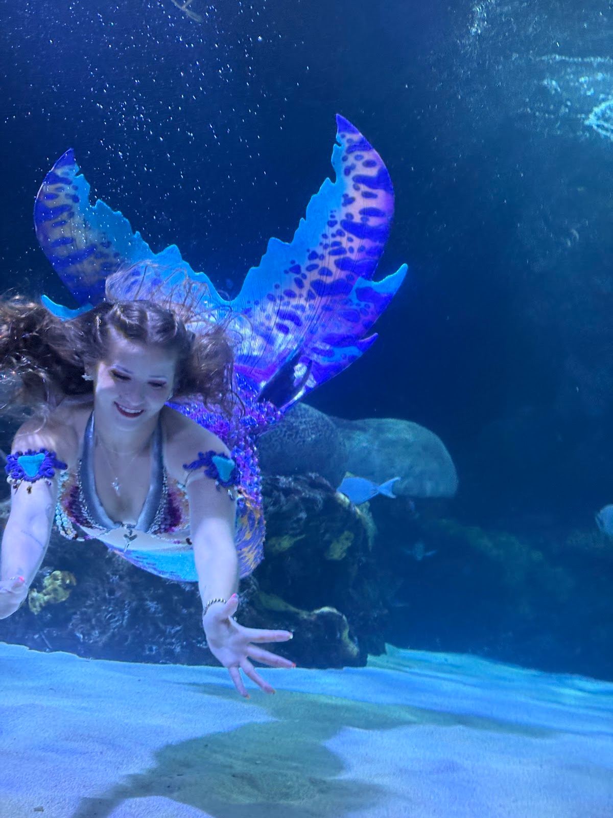 Va beach Aquarium