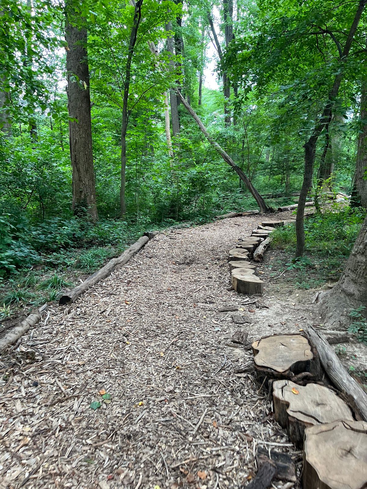 Howard E Herman Park