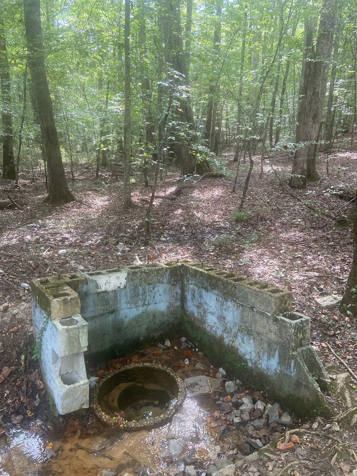 Artesian Well
