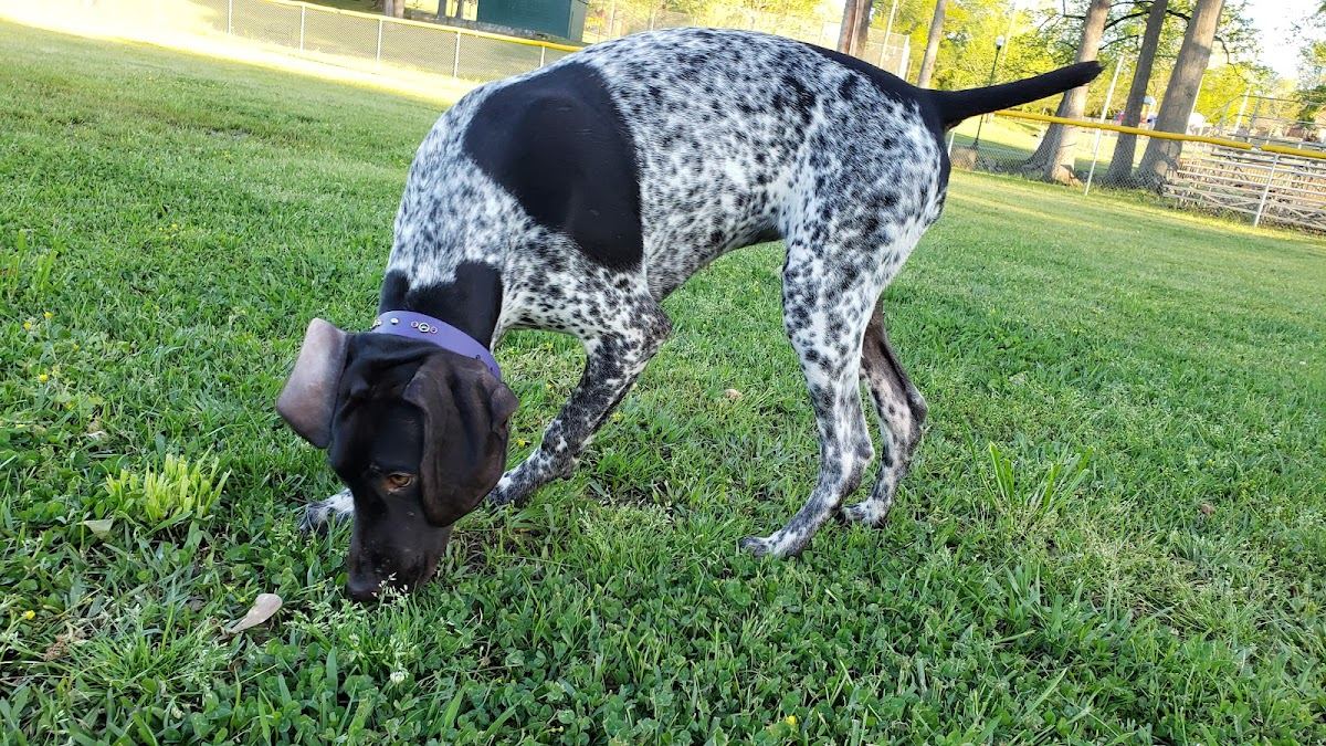 Booneville City Park