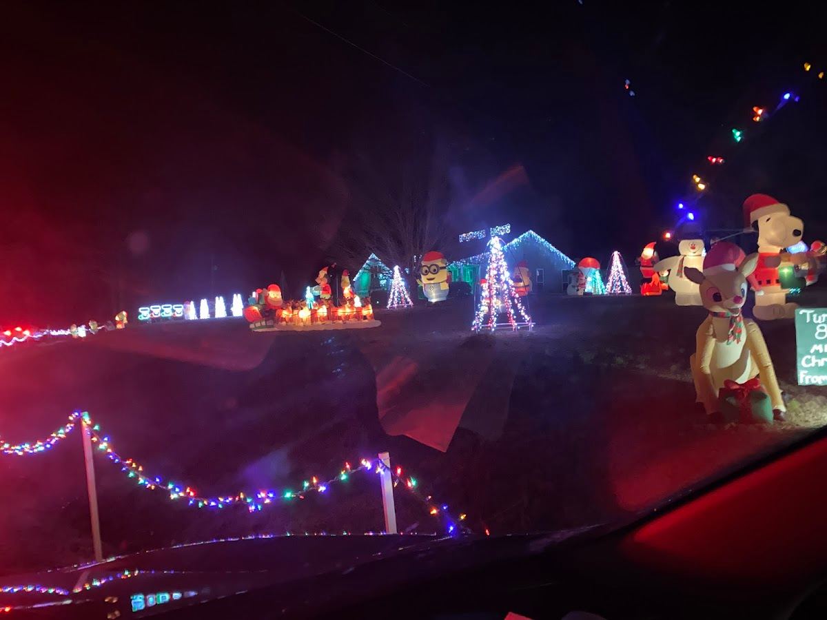 Northern Lights Walnut, MS