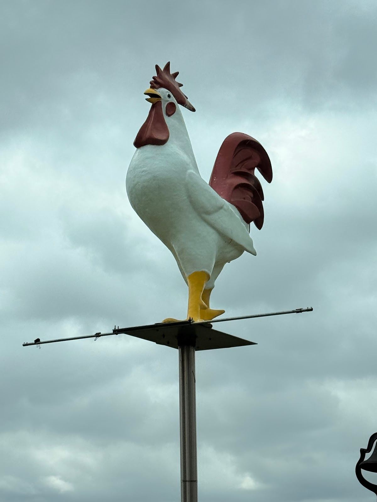 The big chicken