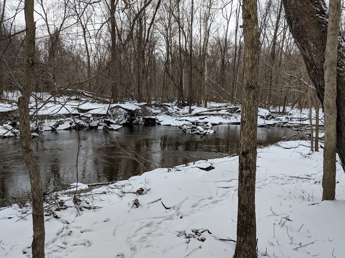 Black River Preserve