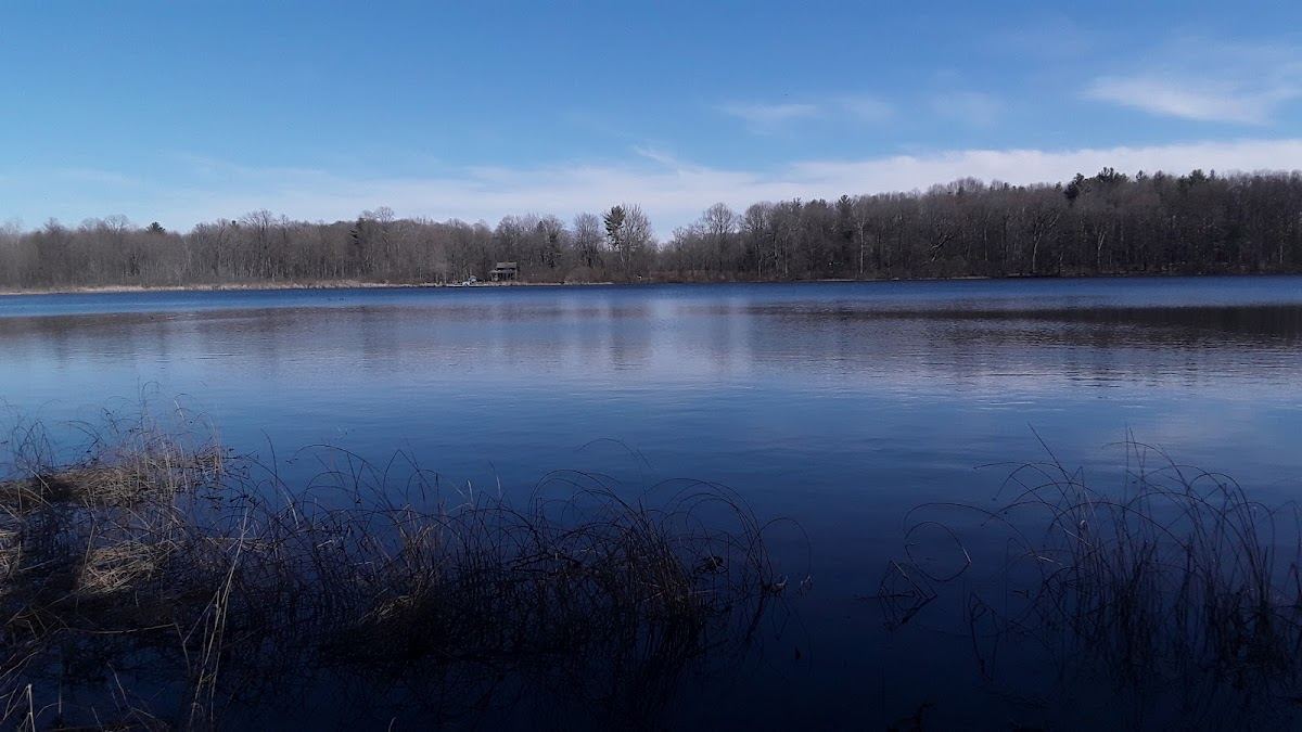 Jeptha Lake Fen