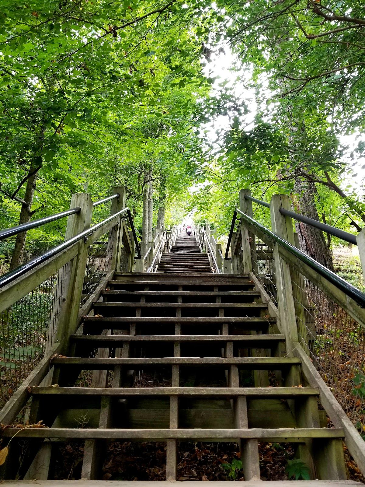Mount Baldhead Park