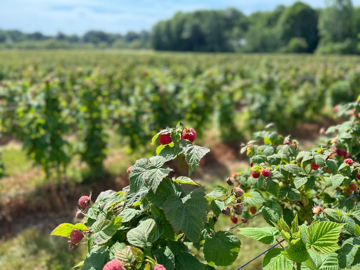 Riverbend Farms