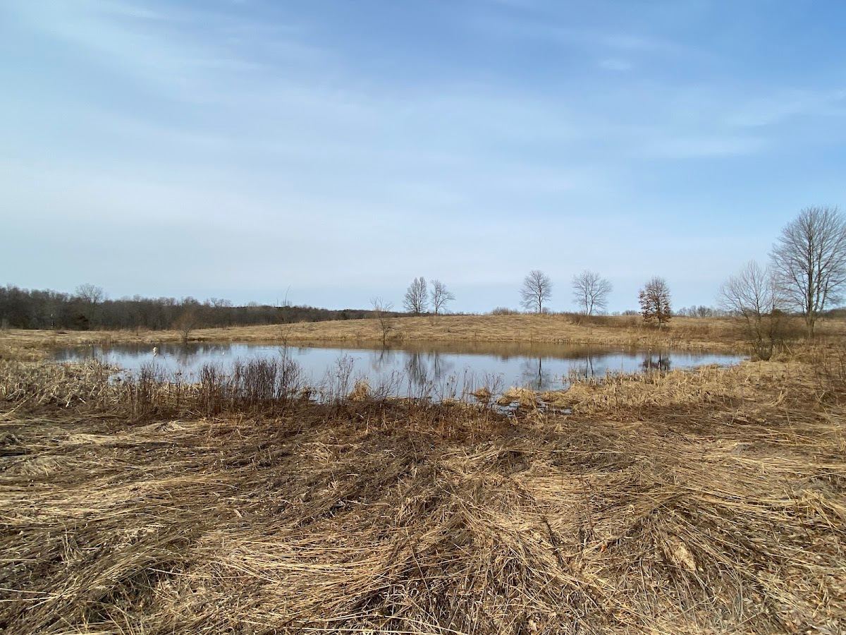Hidden Pond Preserve