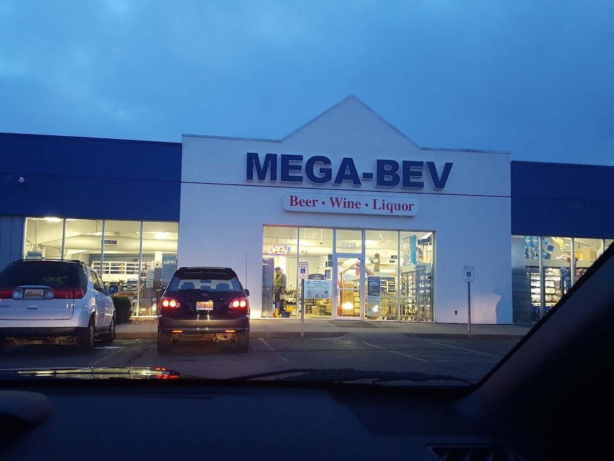 MEGA-BEV