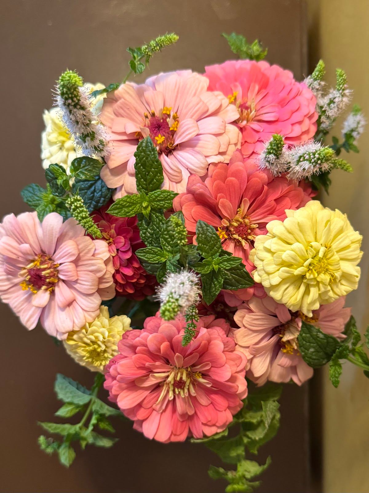Albright Acres Flower Farm and Nursery