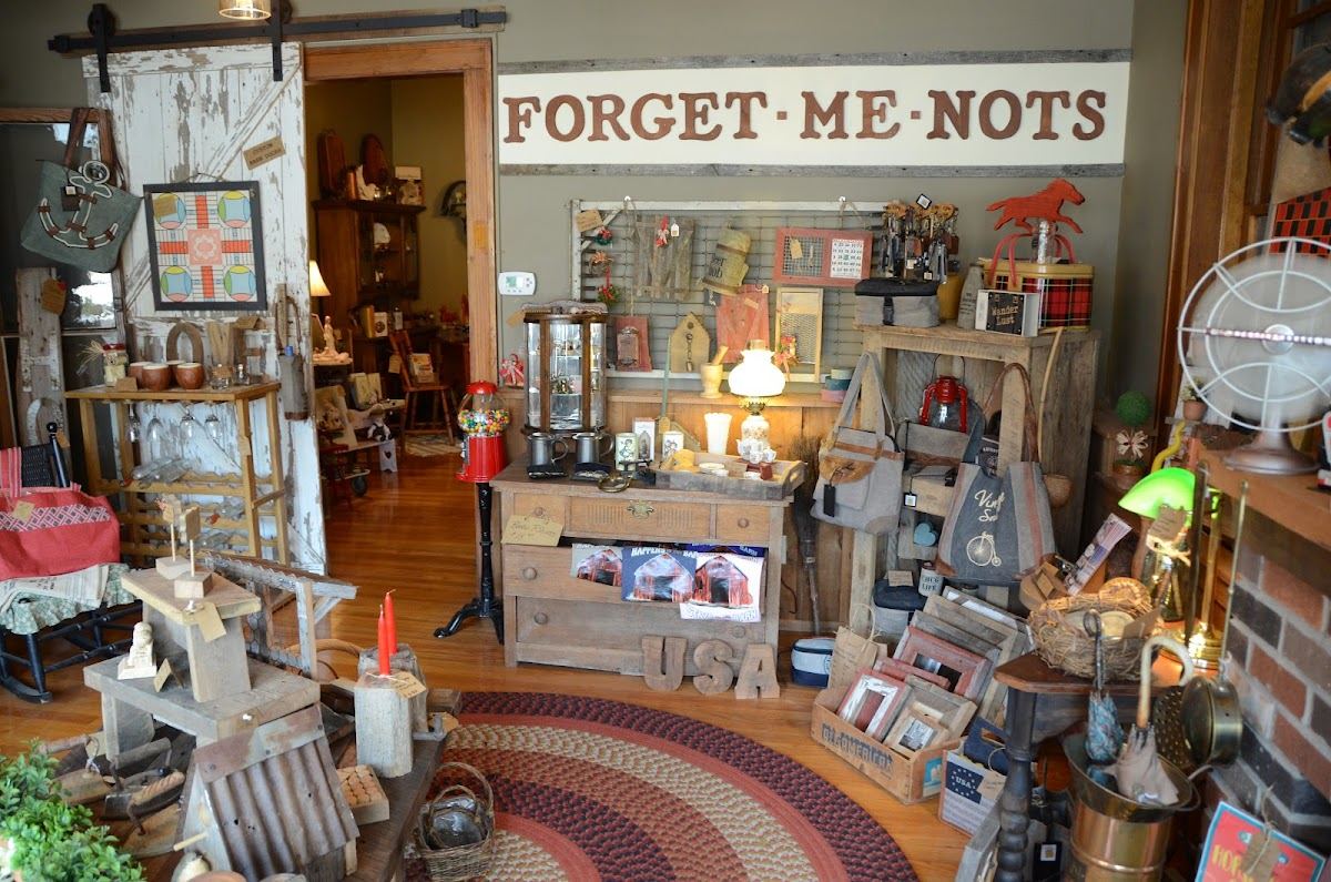 Forget - Me - Nots