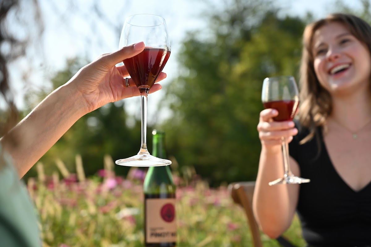 The Rejoicing Vine Winery