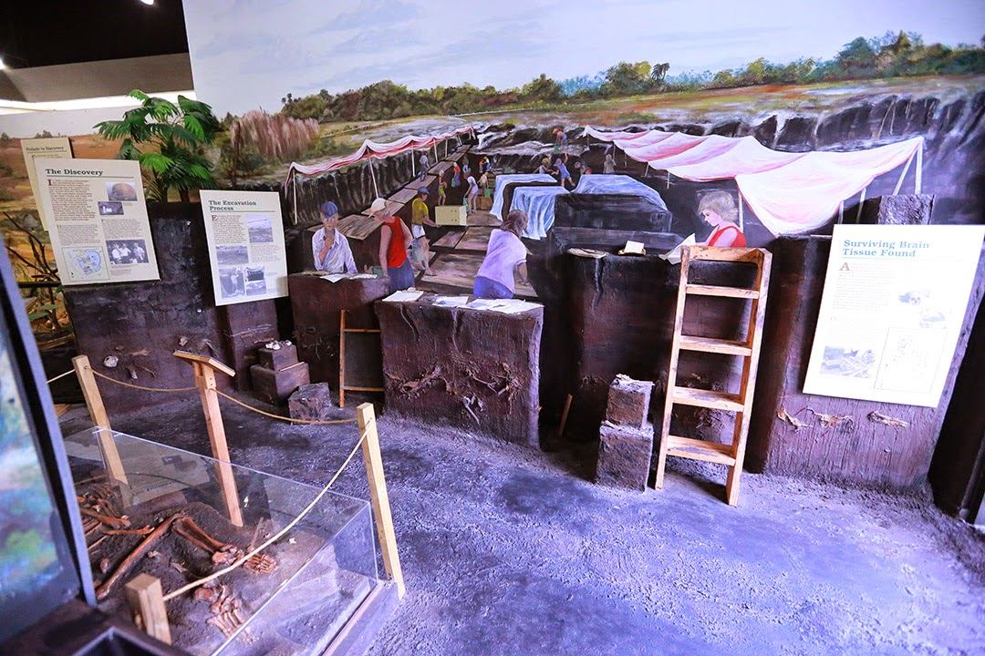 Brevard Museum of History & Natural Science